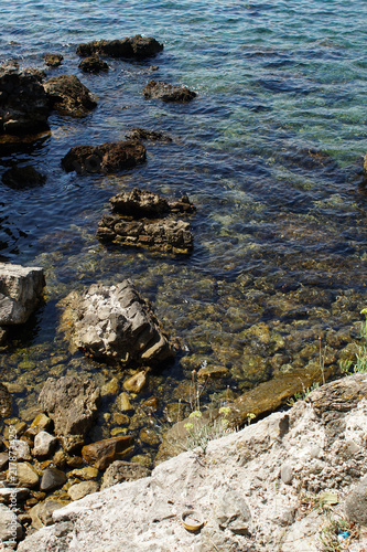 Rocky bay with giant boulders and wild herbs