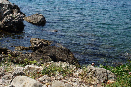 Rocky bay with giant boulders and wild herbs