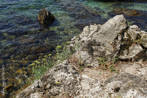 Rocky bay with giant boulders and wild herbs