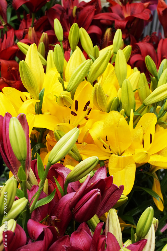 yellow and red lilly flowers texture yellow and red lilly flowers texture