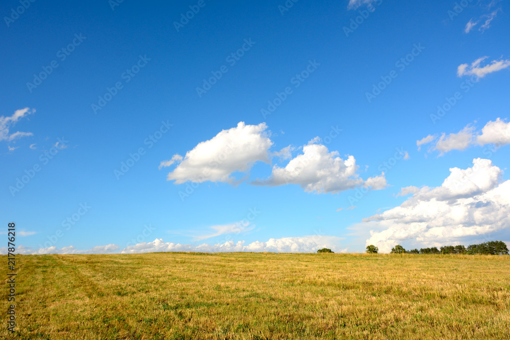 field in sunlight and blue sky field in sunlight and blue sky