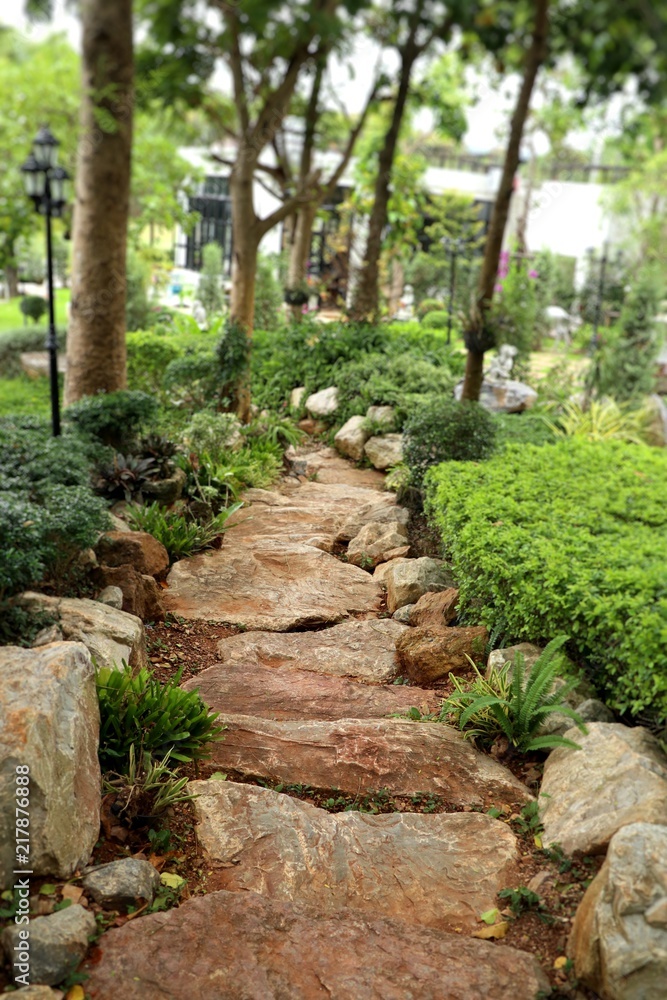 Stone path in garden