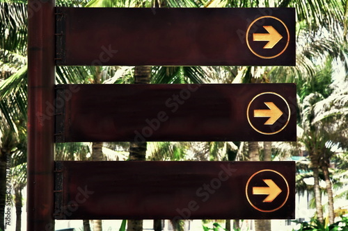 Obraz na płótnie Wooden nameplate with index arrow and copy space. object on the background of palm trees w salonie