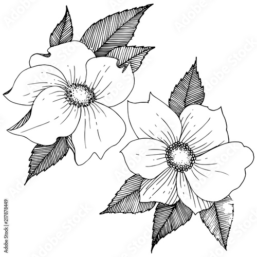 Wild rose in a vector style isolated. Full name of the plant: rose. Vector flower for background, texture, wrapper pattern, frame or border.