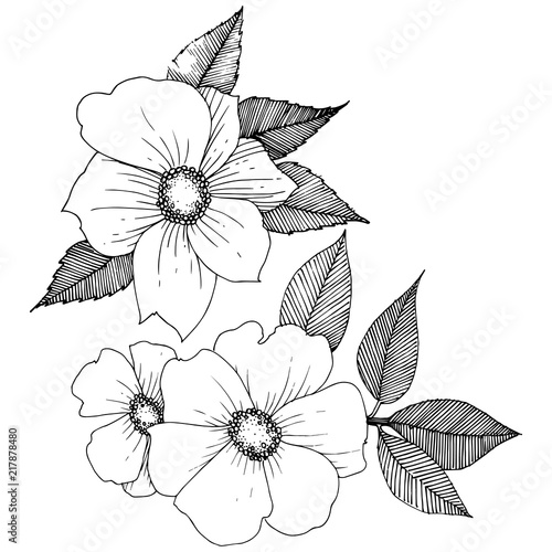 Wild rose in a vector style isolated. Full name of the plant: rose. Vector flower for background, texture, wrapper pattern, frame or border.