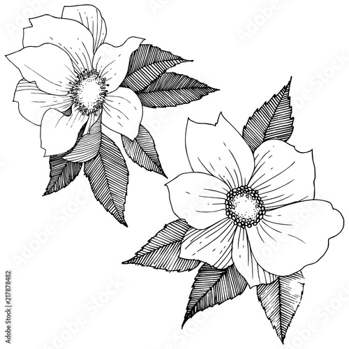 Wild rose in a vector style isolated. Full name of the plant: rose. Vector flower for background, texture, wrapper pattern, frame or border.