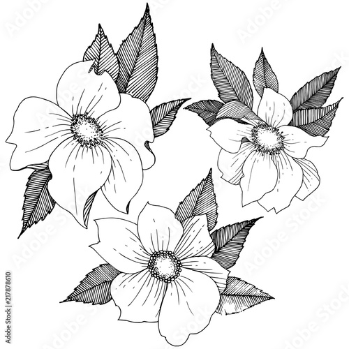 Wild rose in a vector style isolated. Full name of the plant: rose. Vector flower for background, texture, wrapper pattern, frame or border.