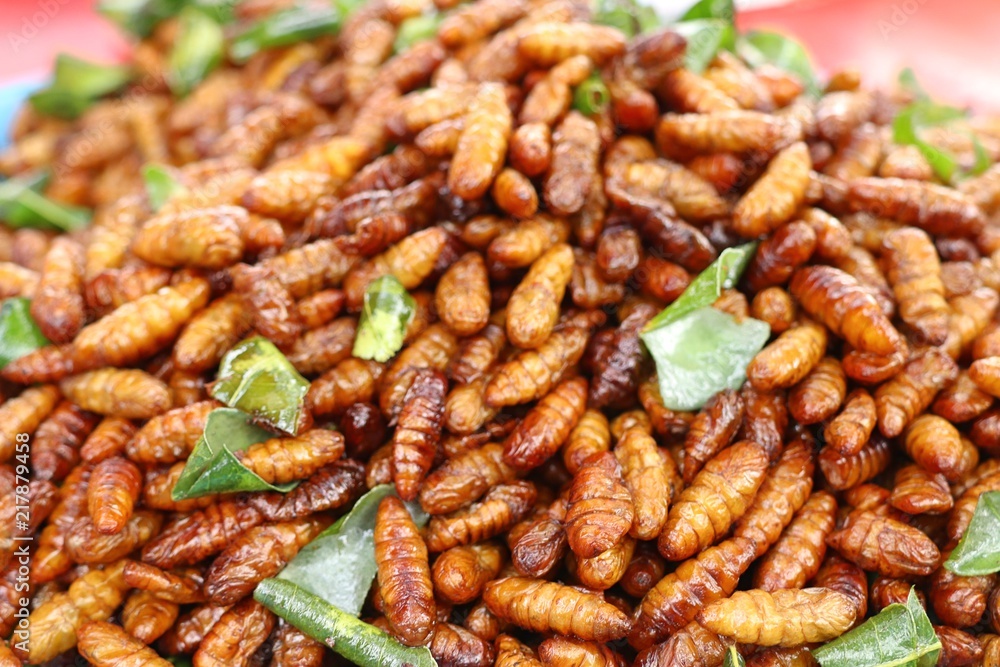 Fried Insect at street food Fried Insect at street food