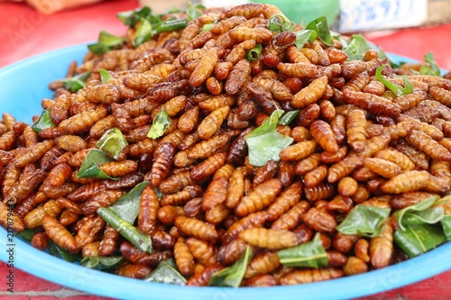 Fried Insect at street food