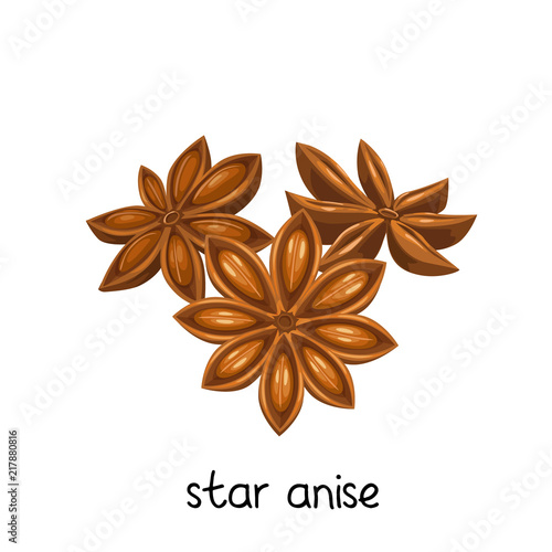 star anise spice