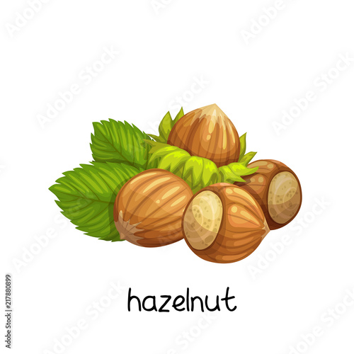 hazelnut in cartoon style