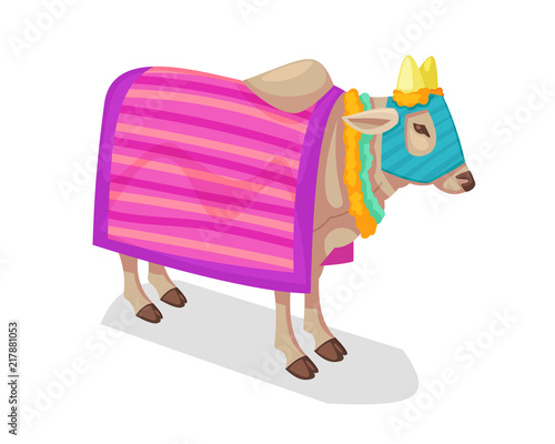 Sacred traditional Indian animal in Hinduism, Jainism, Zoroastrianism, sacred cow.
