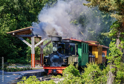 a small narrow-track train drives the park