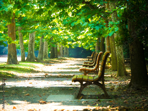 木漏れ日の中のベンチ