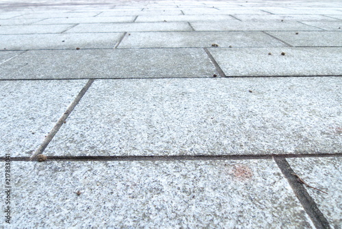 幾何学模様の石敷 - Stone floor of geometric patterns