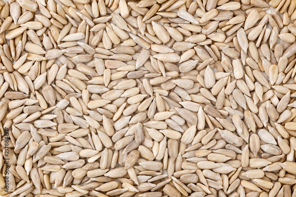 Sunflower seed background Sunflower seed background