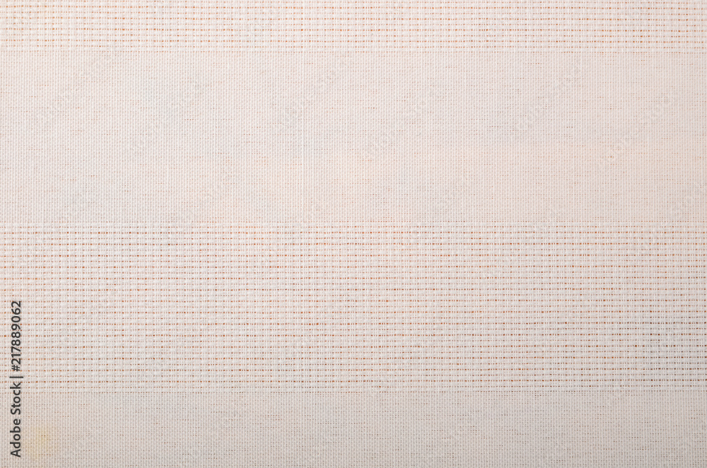 Fototapeta premium bright texture of the fabric with a spot of mold