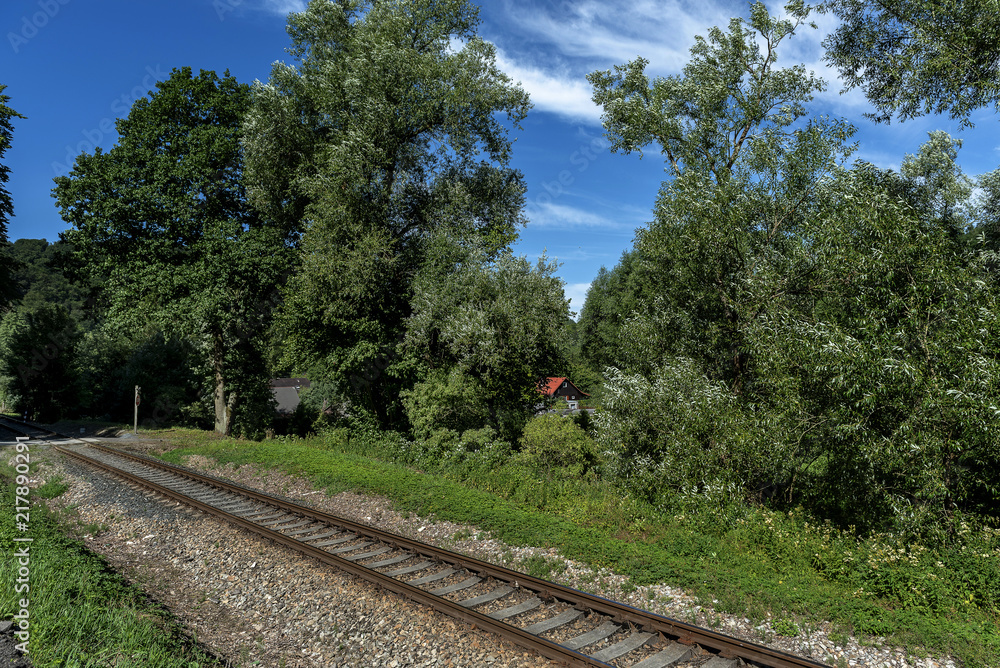 Obraz premium detail of train tracks running between meadows and forest in summer