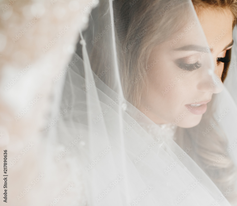 Portrait of charming bride enveloped in a veil Portrait of charming bride enveloped in a veil