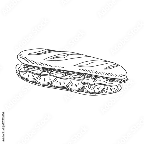 vector hand drawn sandwich baguette Illustration © Natalya Levish