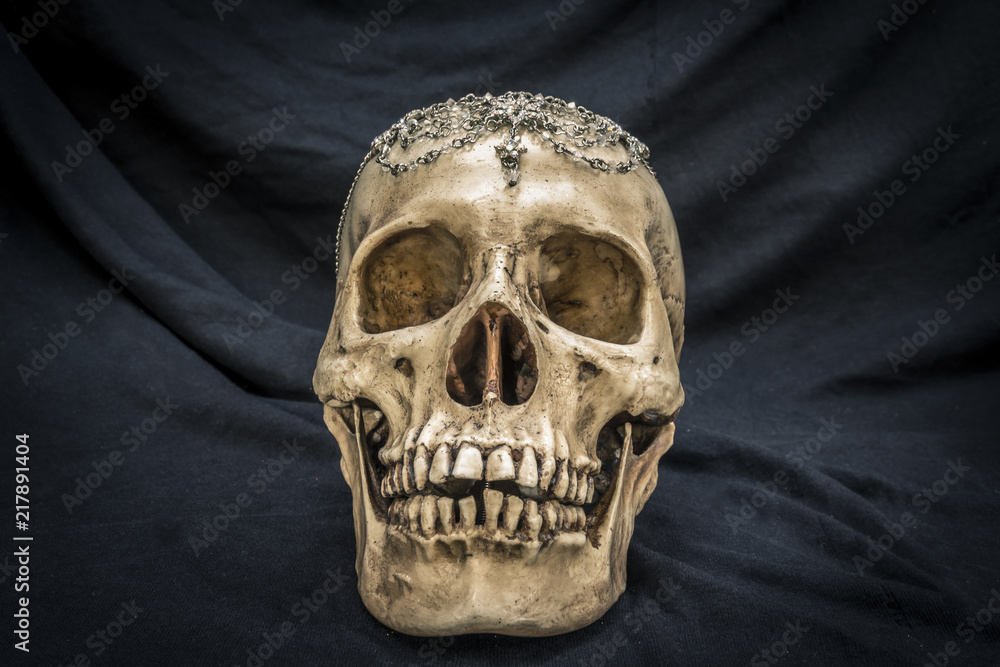 Still life with a human skull with the old, in with the diamond and jewelry Still life with a human skull with the old, in with the diamond and jewelry