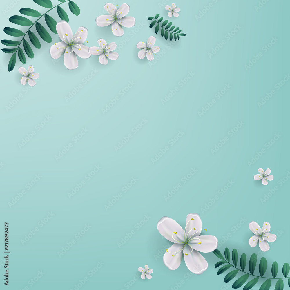 Cherry blossoms with copy space, White sakura flowers.  Springtime. Vector illustration