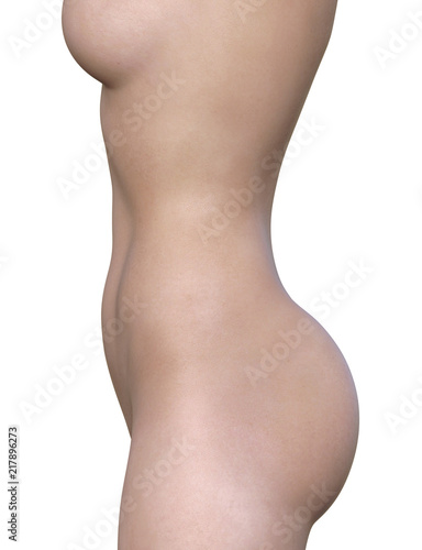 Illustration of the waist and bottom of breasts of a woman