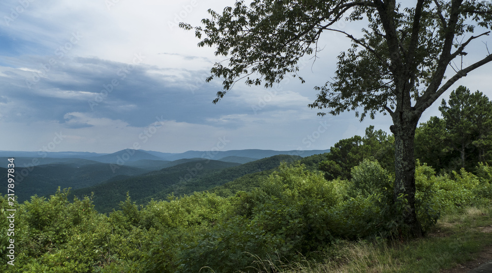 Mountain View with lone tree, summer scenic landscape Mountain View with lone tree, summer scenic landscape