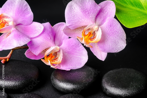 spa concept of black zen stones, lilac orchid