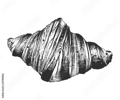 Vector engraved style illustration for posters, decoration and print. Hand drawn sketch of croissant in monochrome isolated on white background. Detailed vintage woodcut style drawing.