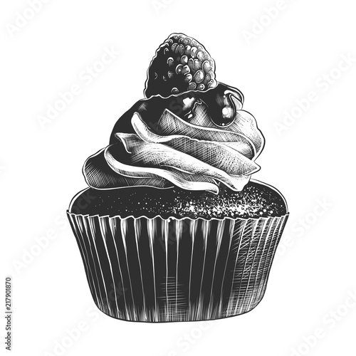 Vector engraved style illustration for posters, decoration and print. Hand drawn sketch of cupcake in monochrome isolated on white background. Detailed vintage woodcut style drawing.
