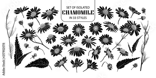 Set of isolated silhouette chamomile in 33 styles.