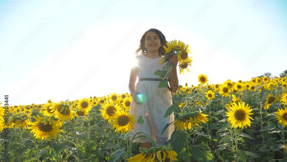 Happy little girl running happy free across the field with sunflowers. slow motion video. smelling big sunflower on summer field. Delight of a pleasant smell. Summer holiday. concept happiness Happy little girl running happy free across the field with sunflowers. slow motion video. smelling big sunflower on summer field. Delight of a pleasant smell. Summer holiday. concept happiness
