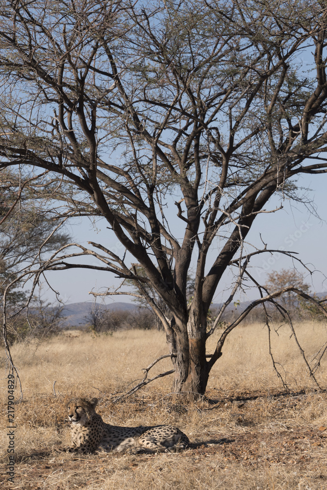 Namibia Namibia