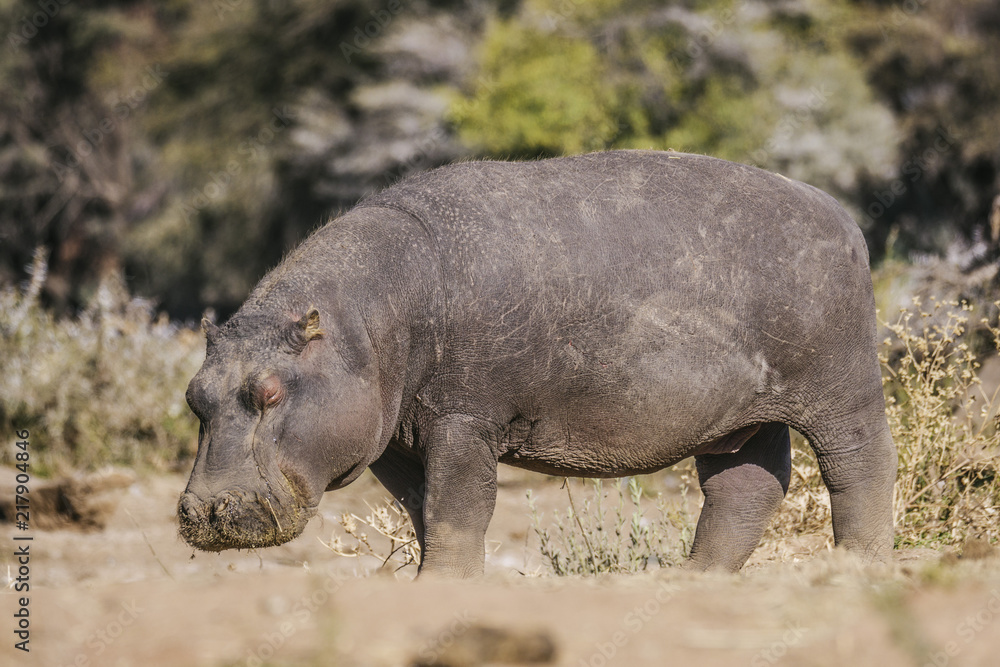 Namibia Namibia