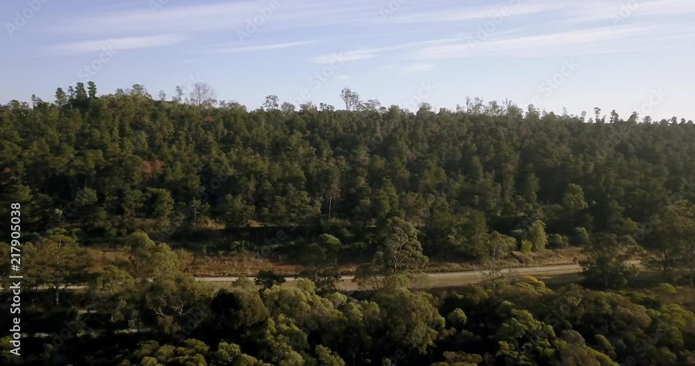 Flying over a coniferous forest located on the edge of an Industrial and Commercial Logistics Park, Greystanes, Western Sydney, Australia. Flying over a coniferous forest located on the edge of an Industrial and Commercial Logistics Park, Greystanes, Western Sydney, Australia.