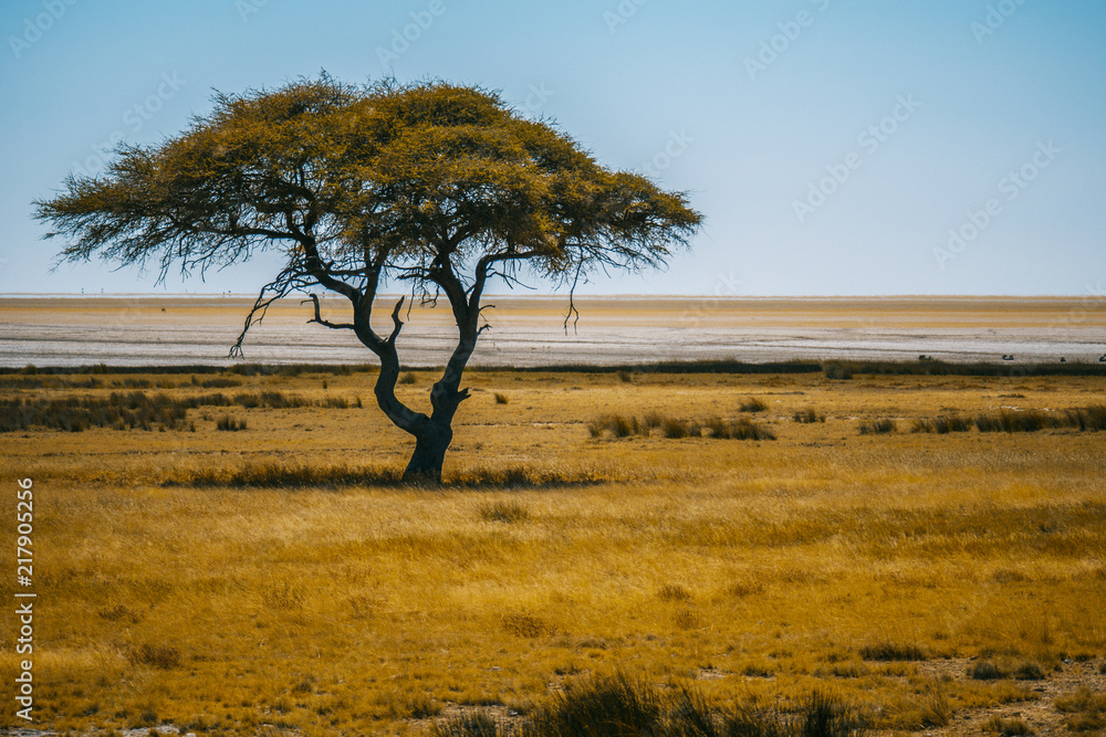 Namibia Namibia