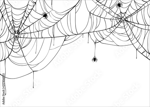 Halloween spiderweb vector background with spiders, copy space. Cobweb backdrop illustration isolated on white photo