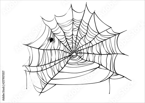 Halloween spiderweb vector with spider isolated on white background