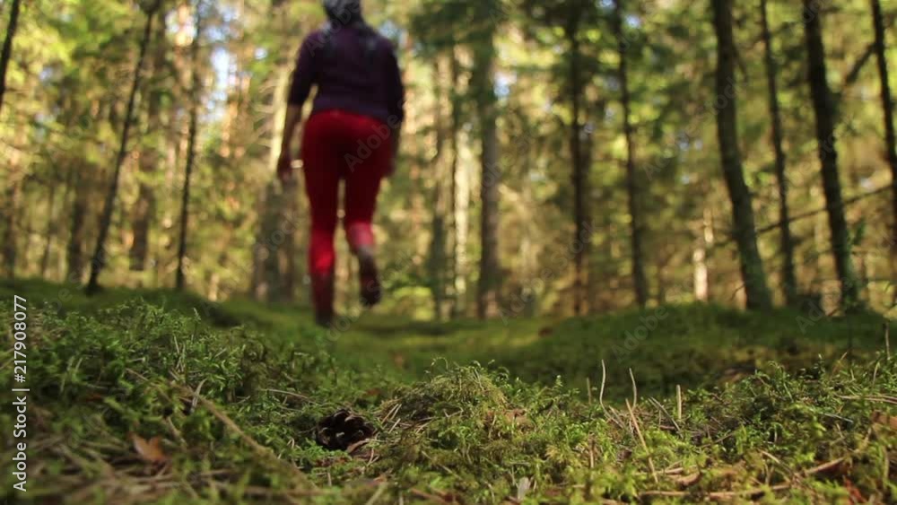 The mushroom picker goes through the forest with red rubber boots The mushroom picker goes through the forest with red rubber boots