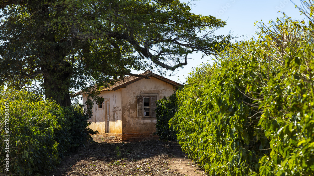 Abandoned house, poorly maintained house, poor house Abandoned house, poorly maintained house, poor house