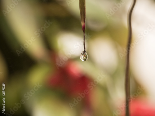wasser