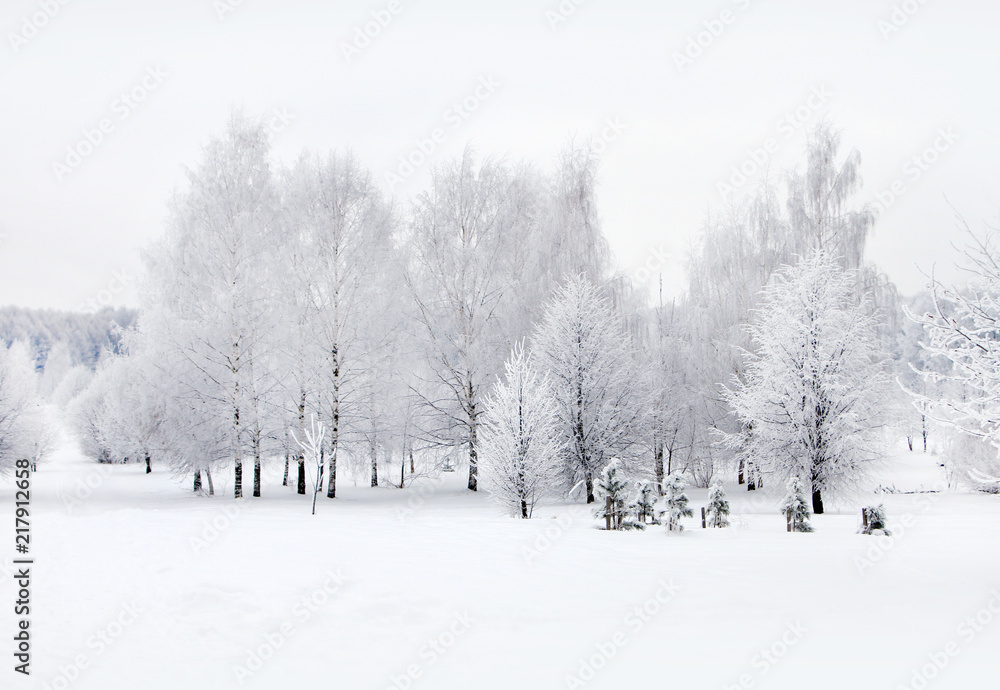 Winter nature, snow and snowy trees Winter nature, snow and snowy trees