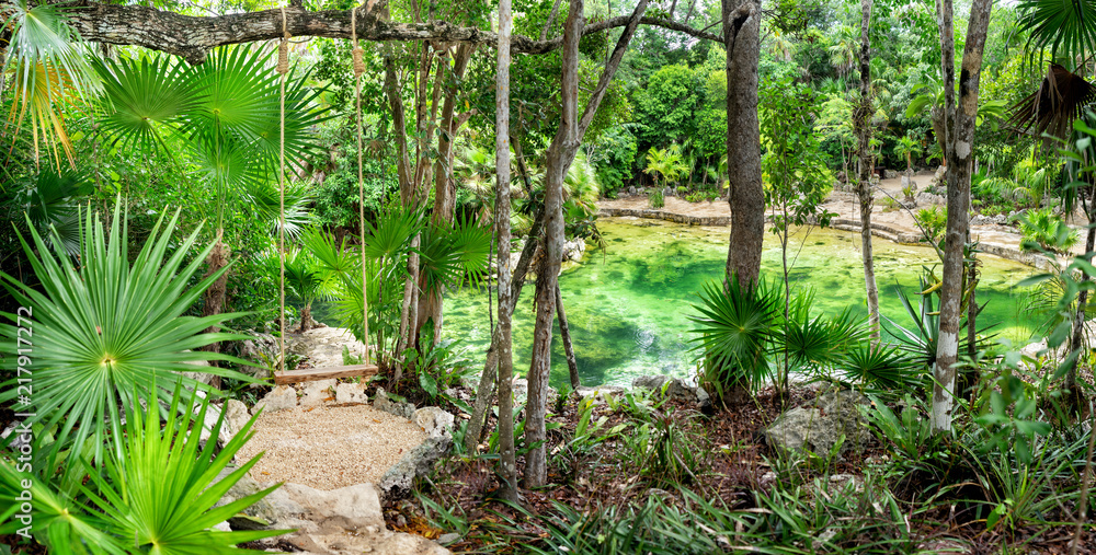 Naklejka premium Mexican cenote