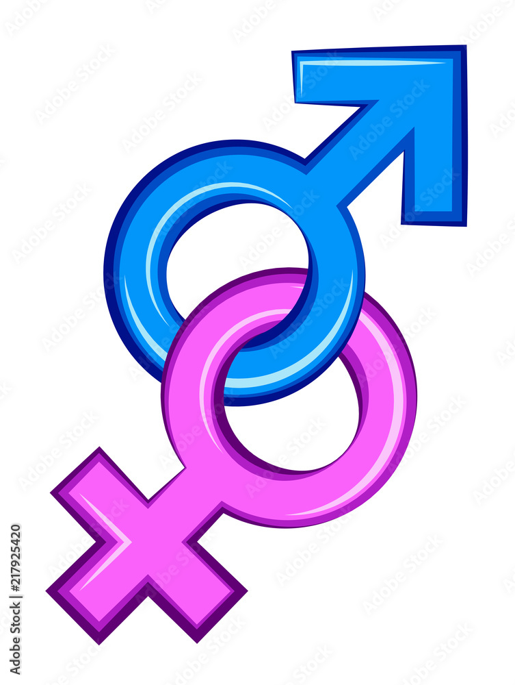 Female and male gender symbol on a white background Female and male gender symbol on a white background