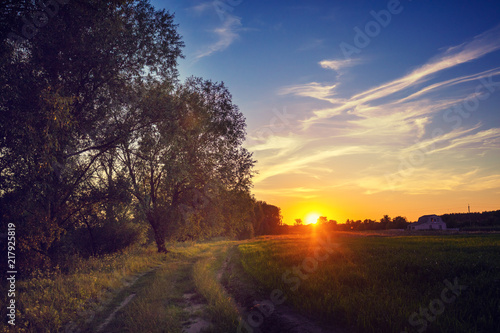Rural landscape in evening. Village and dirt road at sunset