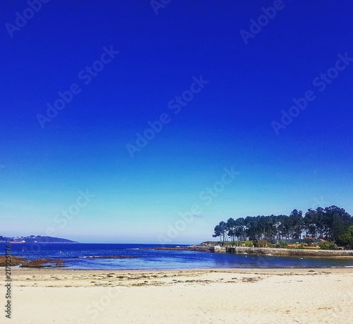 Fototapeta Naklejka Na Ścianę i Meble -  beach landscape