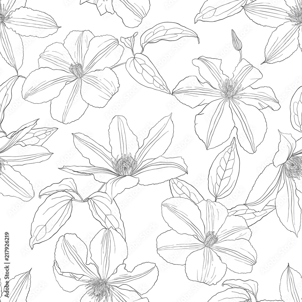 Seamless pattern with Clematis flowers. Seamless pattern with Clematis flowers.