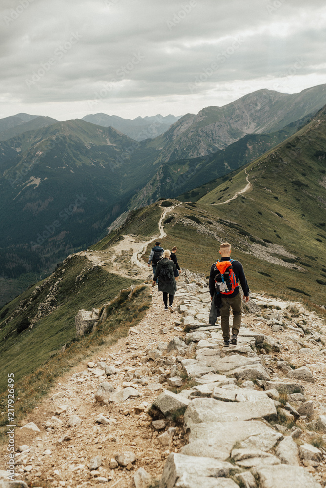 Fototapeta premium Company of people / friends are hiking / walking in the high mountains. Hiking concept