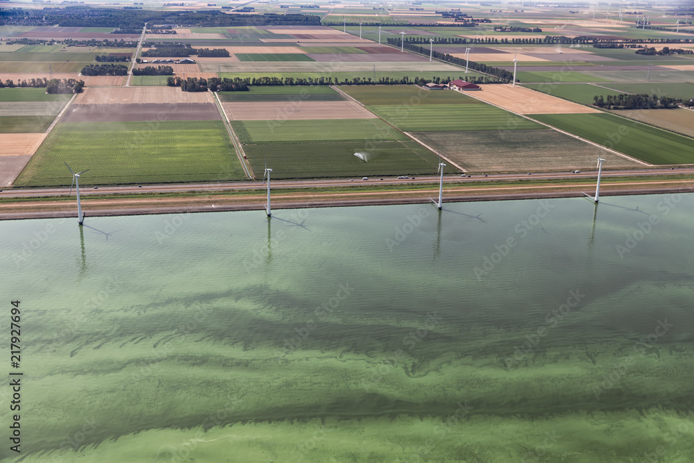 Obraz premium Aerail view Dutch coast of province Flevoland in hot summer, the sea is covered with blue-green algae - Cyanobacteria - through eutrophication